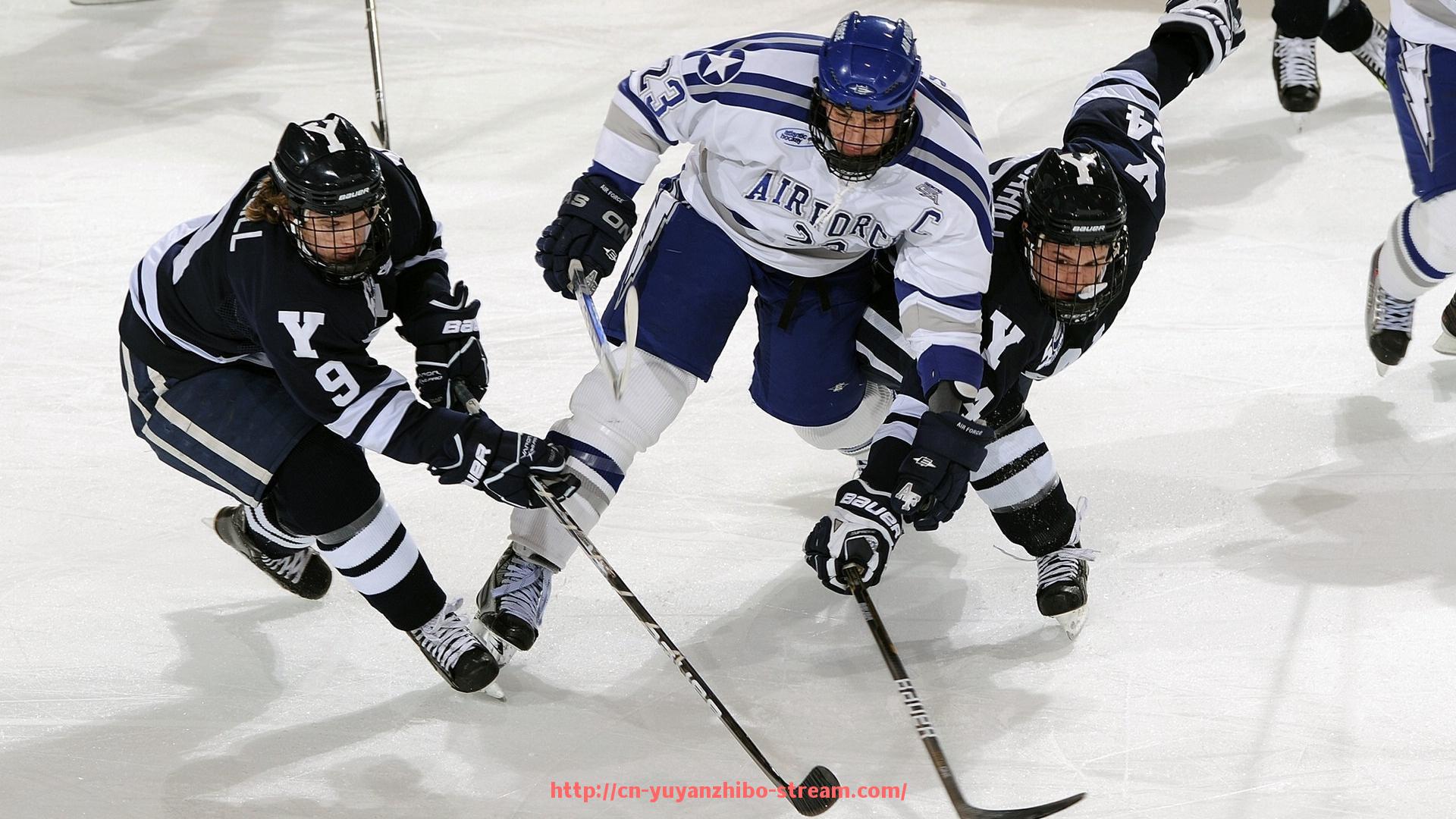 雨燕直播-现场助威如何策划？世俱杯球迷热血行动幕后揭秘
