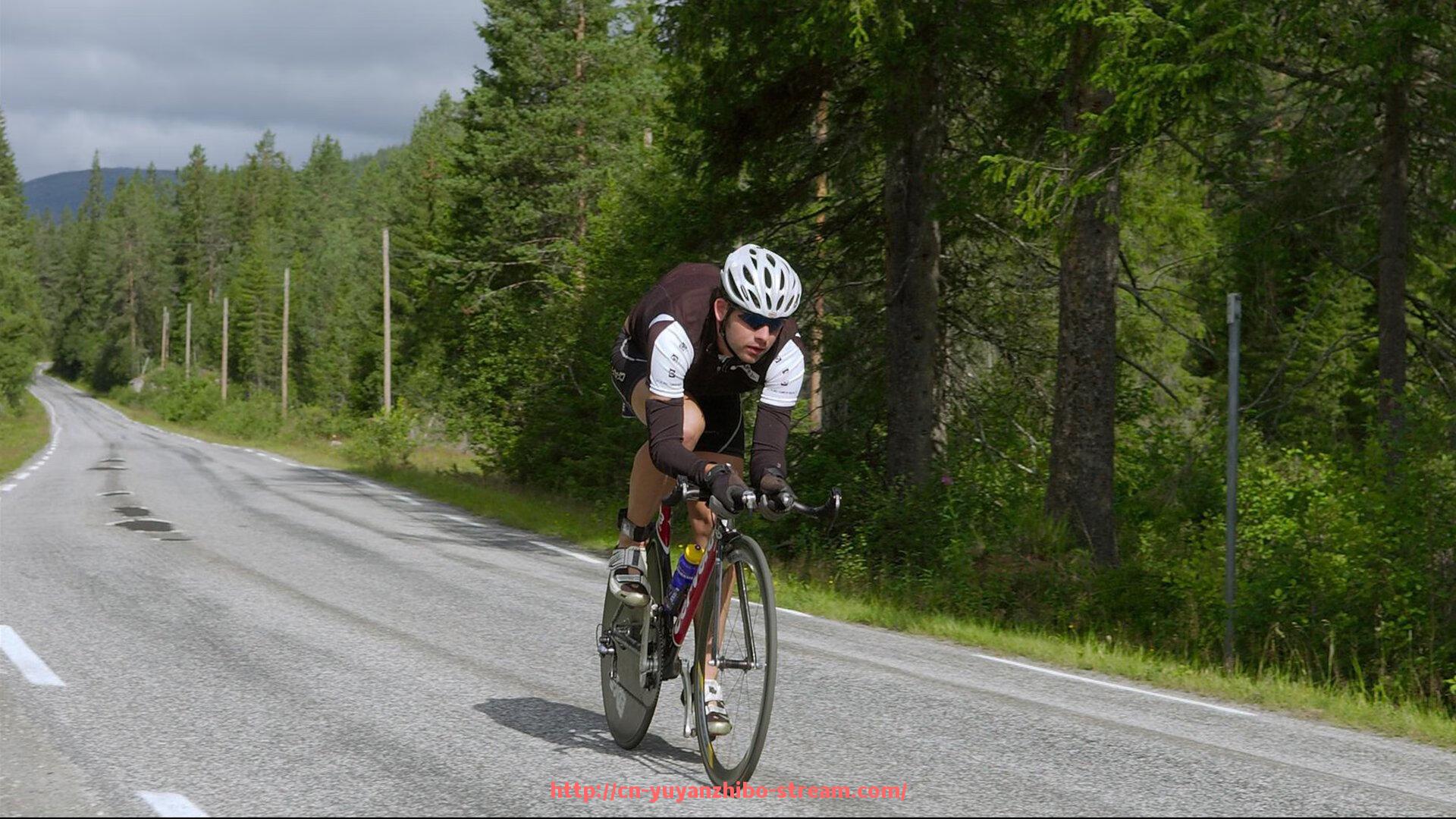 雨燕直播-世界杯之外的盛事：世俱杯球迷助威服装设计亮点